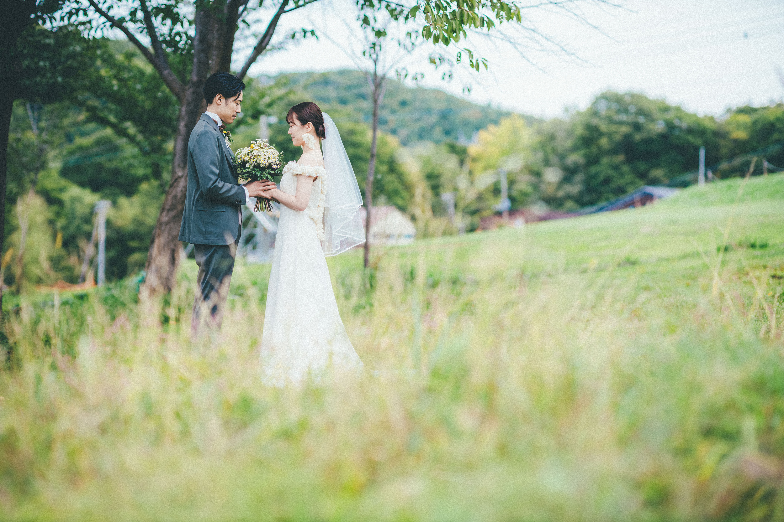 Hokkaido Nature & Harmony
